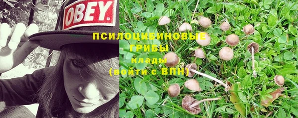 наркотики Михайловка