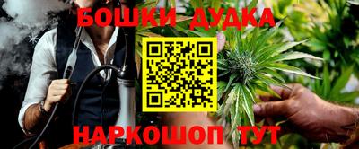 крисы Будённовск