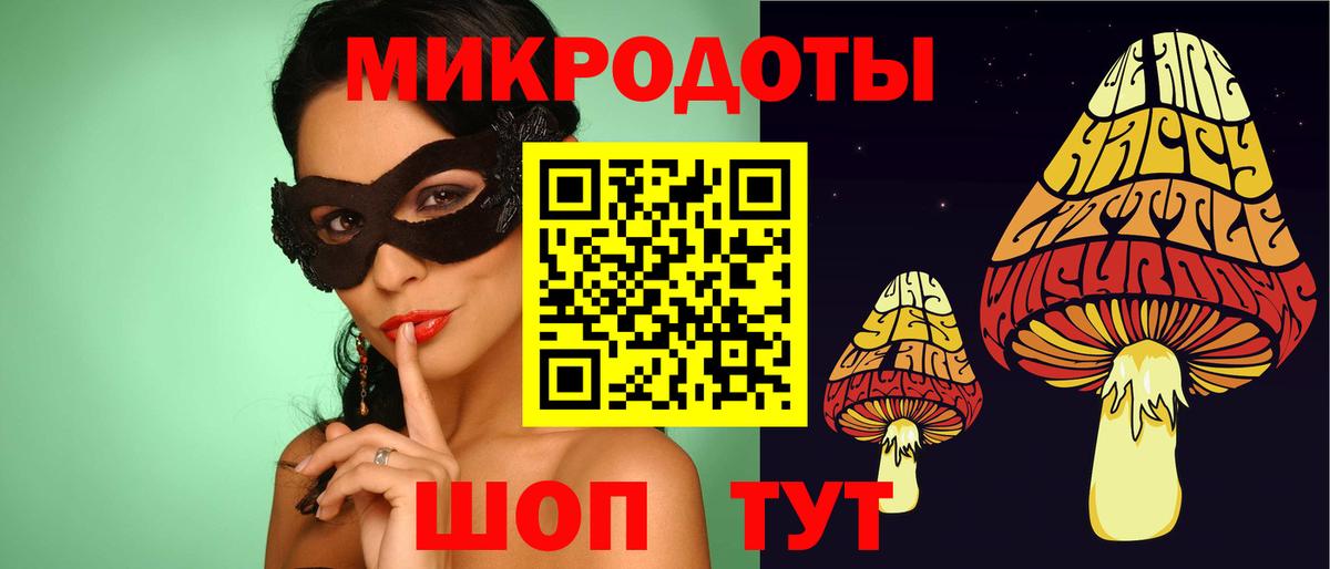 Курчатов  Псилоцибиновые грибы мухоморы  Вход с VPN 